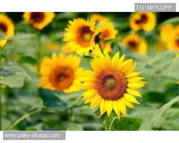 感谢恩加德乌三季拼搏付出祝愿他未来职业生涯顺利辉煌 感谢恩加德乌三季拼搏付出祝愿他未来职业生涯顺利辉煌